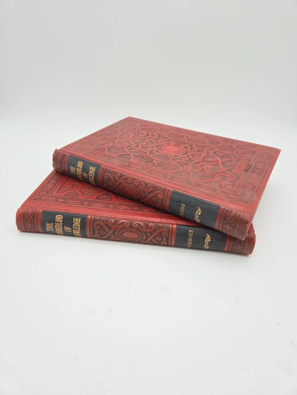 The Wonderland of Knowledge Two Books Hobbies Decor